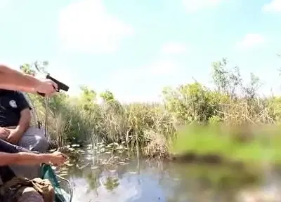 ירה על תנין בשידור חי: כתב אישום הוגש נגד כוכב הרשת הפופולארי | צפו