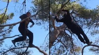 הקוף האנושי: האיש שתועד כשהוא קופץ בקלילות בין העצים | צפו