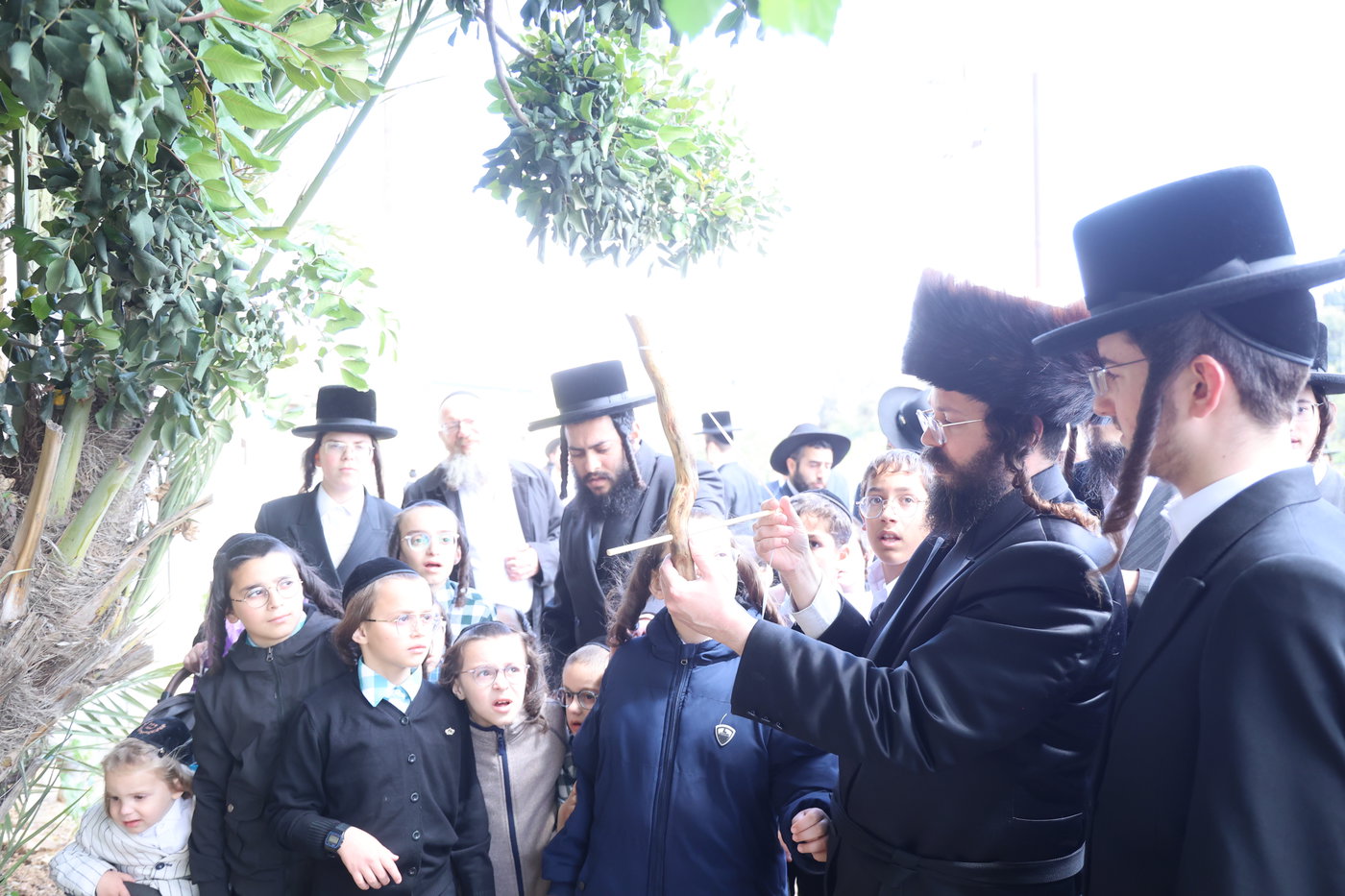 ל"ג בעומר בקבר שמעון הצדיק