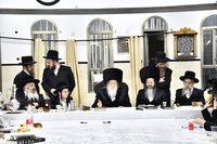 בר מצווה והילולא במודז'יץ