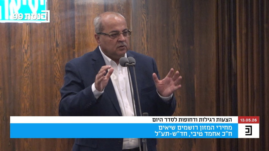 טיבי ומרגי במליאה