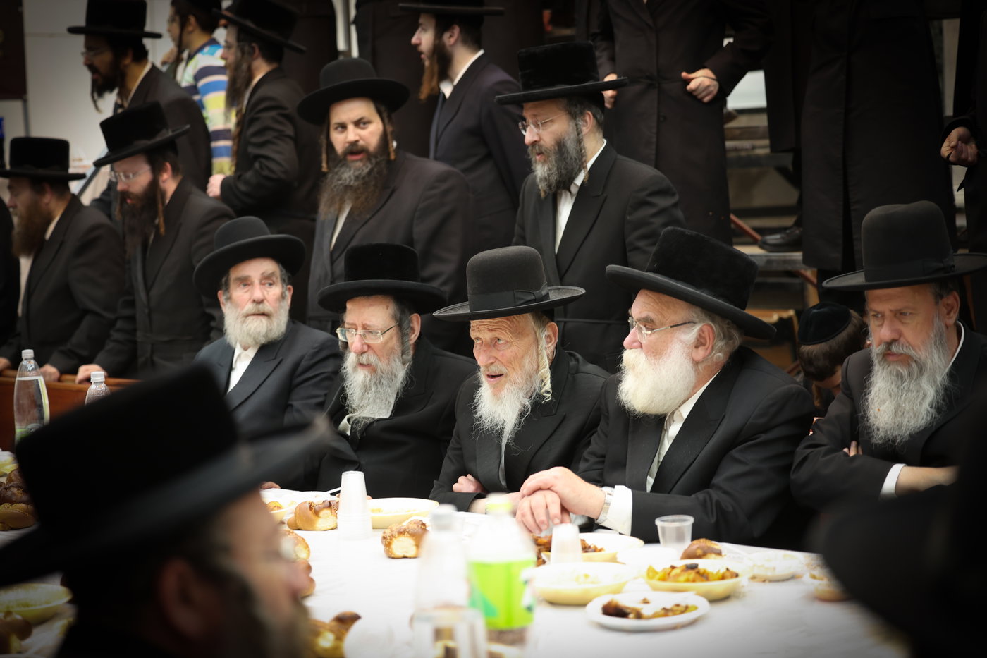 הילולא קדישא וכתיבת ס"ת בחצה"ק זוועהיל