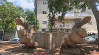 פסק דין מעניין בצפת