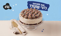 גם כדורים וגם עוגה: עוגת מסקרפונה כדורי שוקולד ללא אפייה