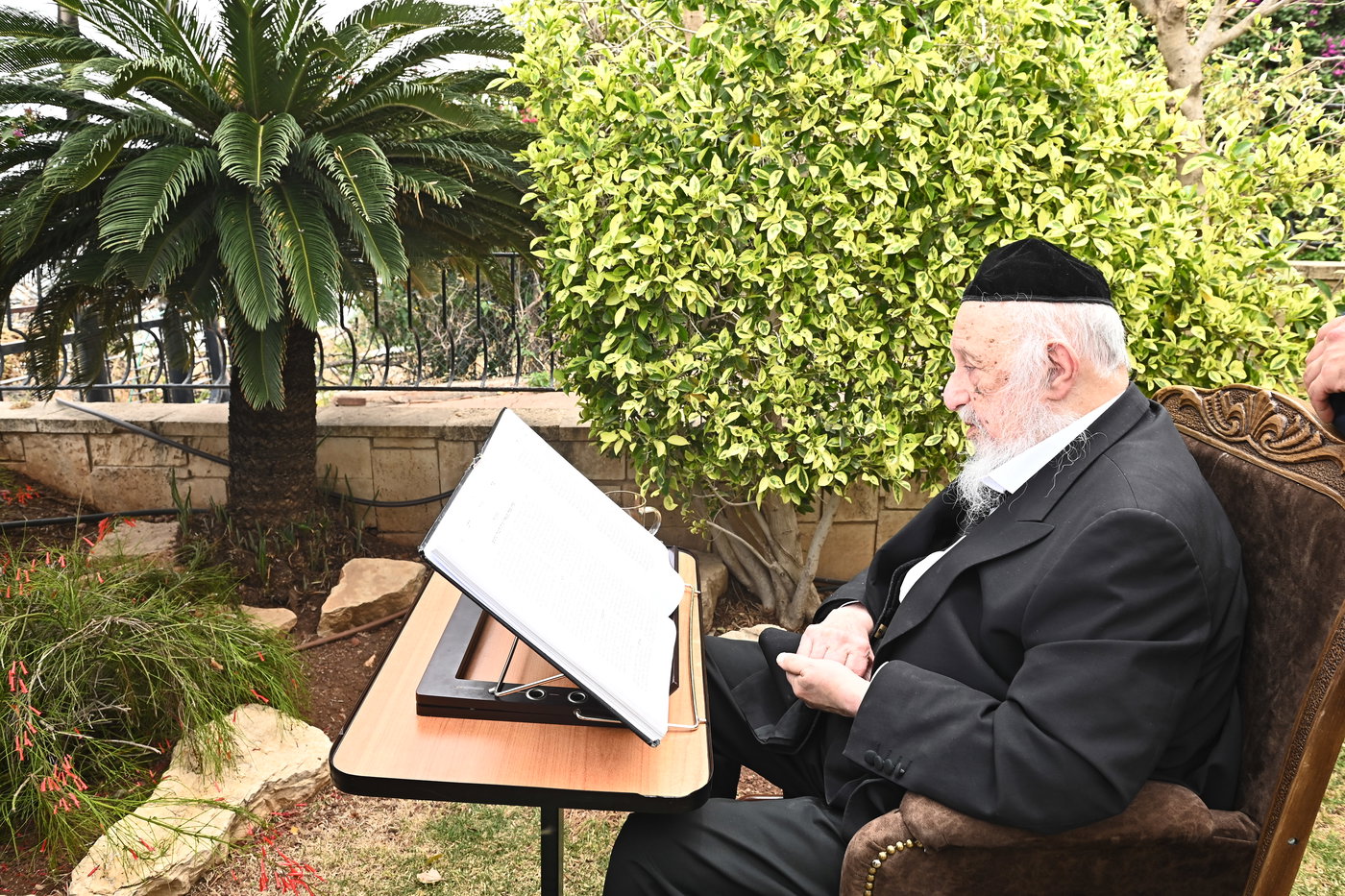 הגרב"ד פוברסקי בלימוד בטבריה