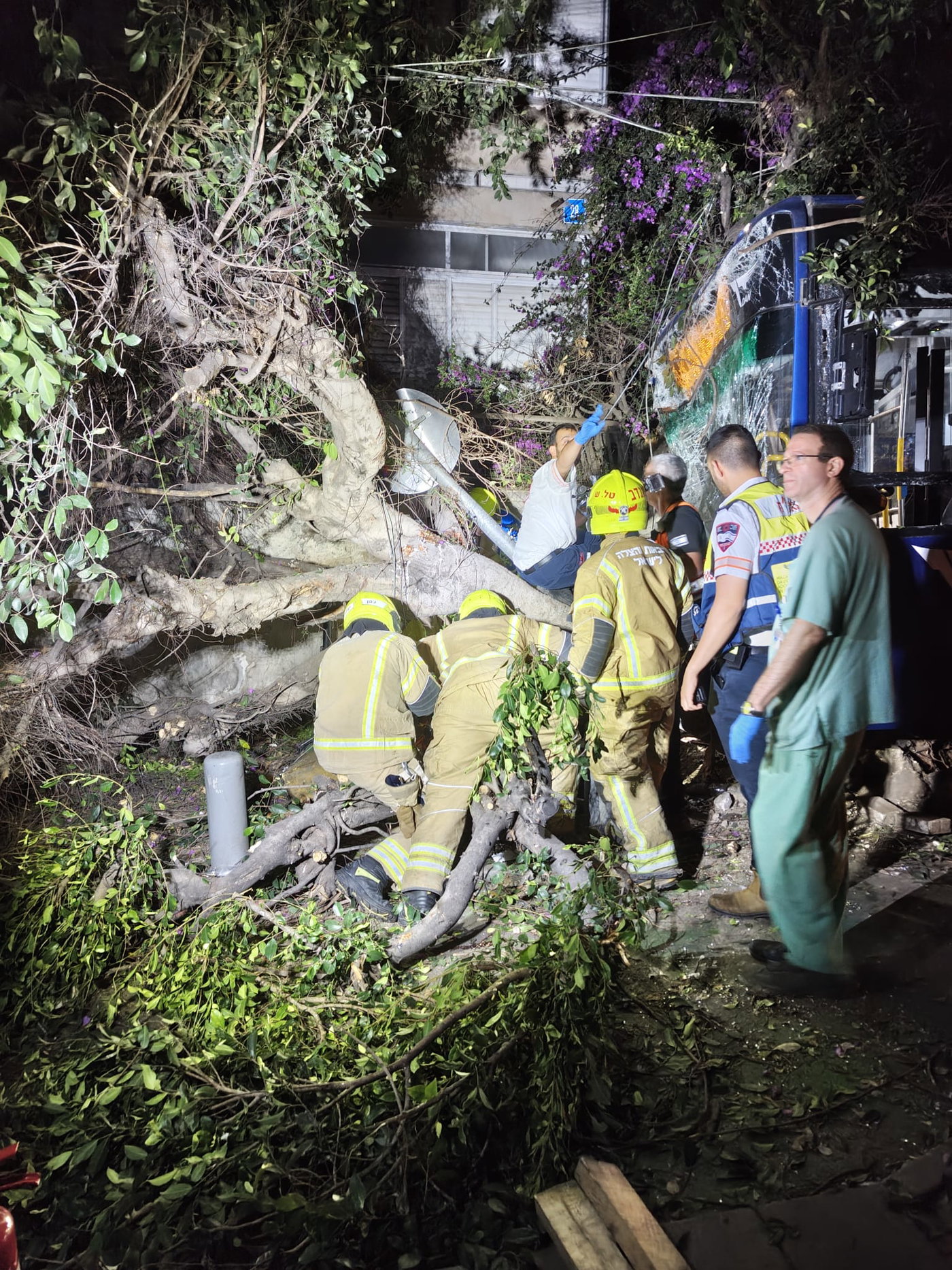 חשד לפיגוע: אוטובוס התנגש בעץ בתל אביב, פצועים אנוש וקשה