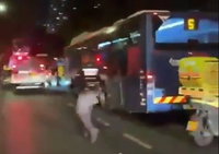 דיווח ראשוני: אוטובוס התנגש בעץ בתל אביב, הרוג ומספר פצועים קשה