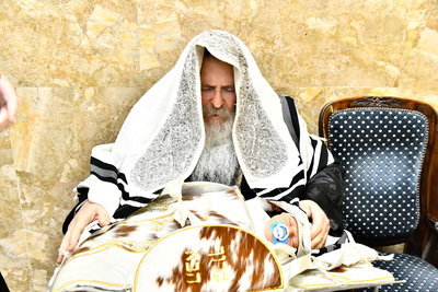 שמחת הברית בחצרות קומרנא - נדבורנה