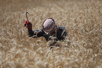 הקלה בחום, ואז המהפך: הטמפרטורות צונחות - וגשם בדרך | התחזית המלאה