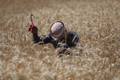 הקלה בחום, ואז המהפך: הטמפרטורות צונחות - וגשם בדרך | התחזית המלאה