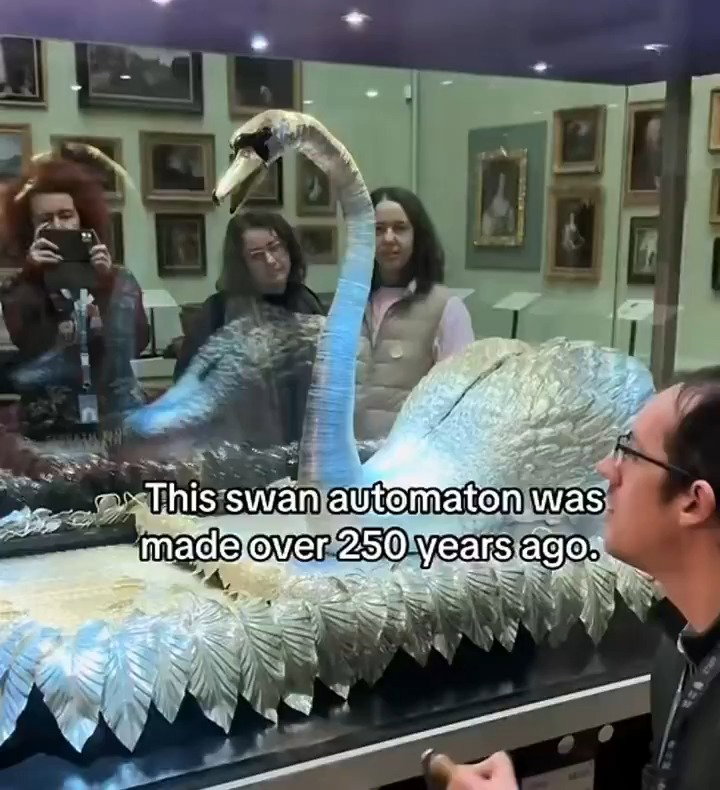 הברבור הכסוף במוזיאון באנגליה