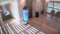 תיעוד: נופשים יצאו מהחדר במלון בדרום ולא ציפו למה שיקרה