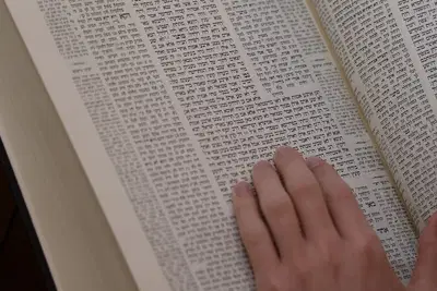 לימוד תורה