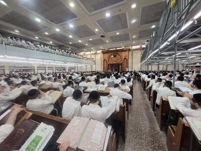 תלמידי פוניבז'