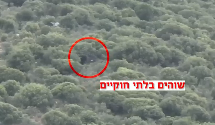 ב'זולות' ואוהלים באמצע היער: כך תפסו השוטרים את השב"חים