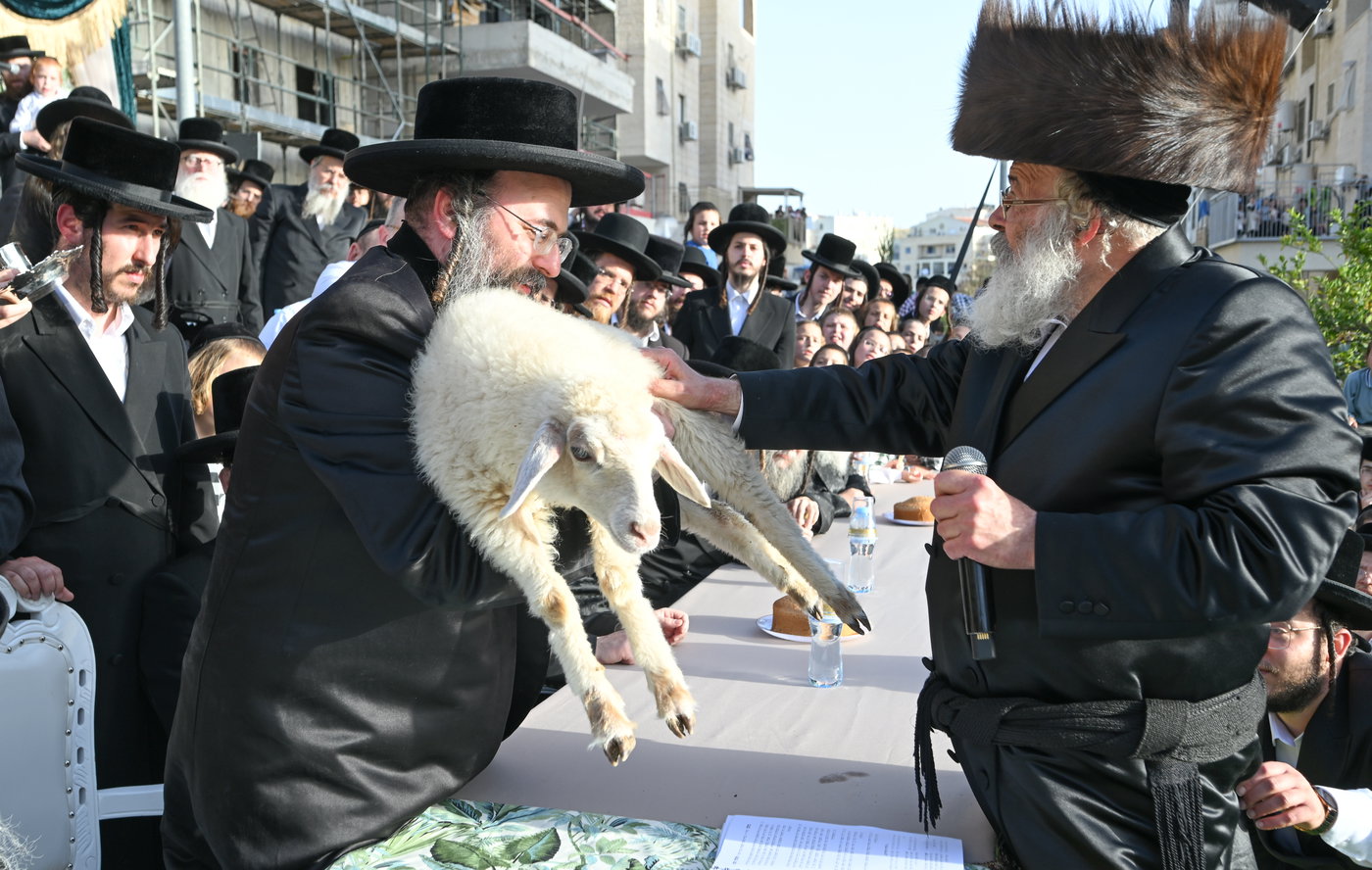 פדיון פטר חמור בבית שמש