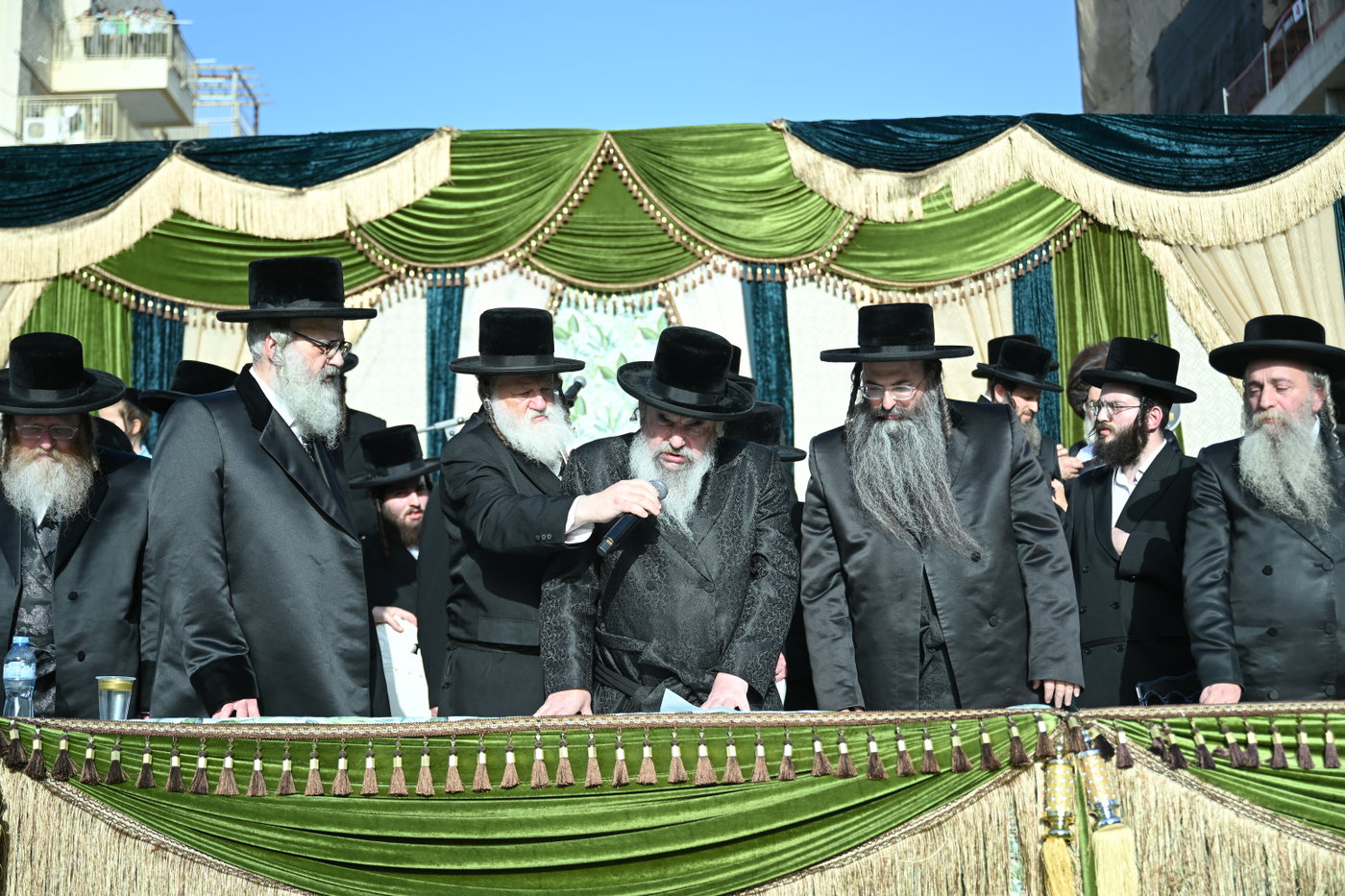 פדיון פטר חמור בבית שמש