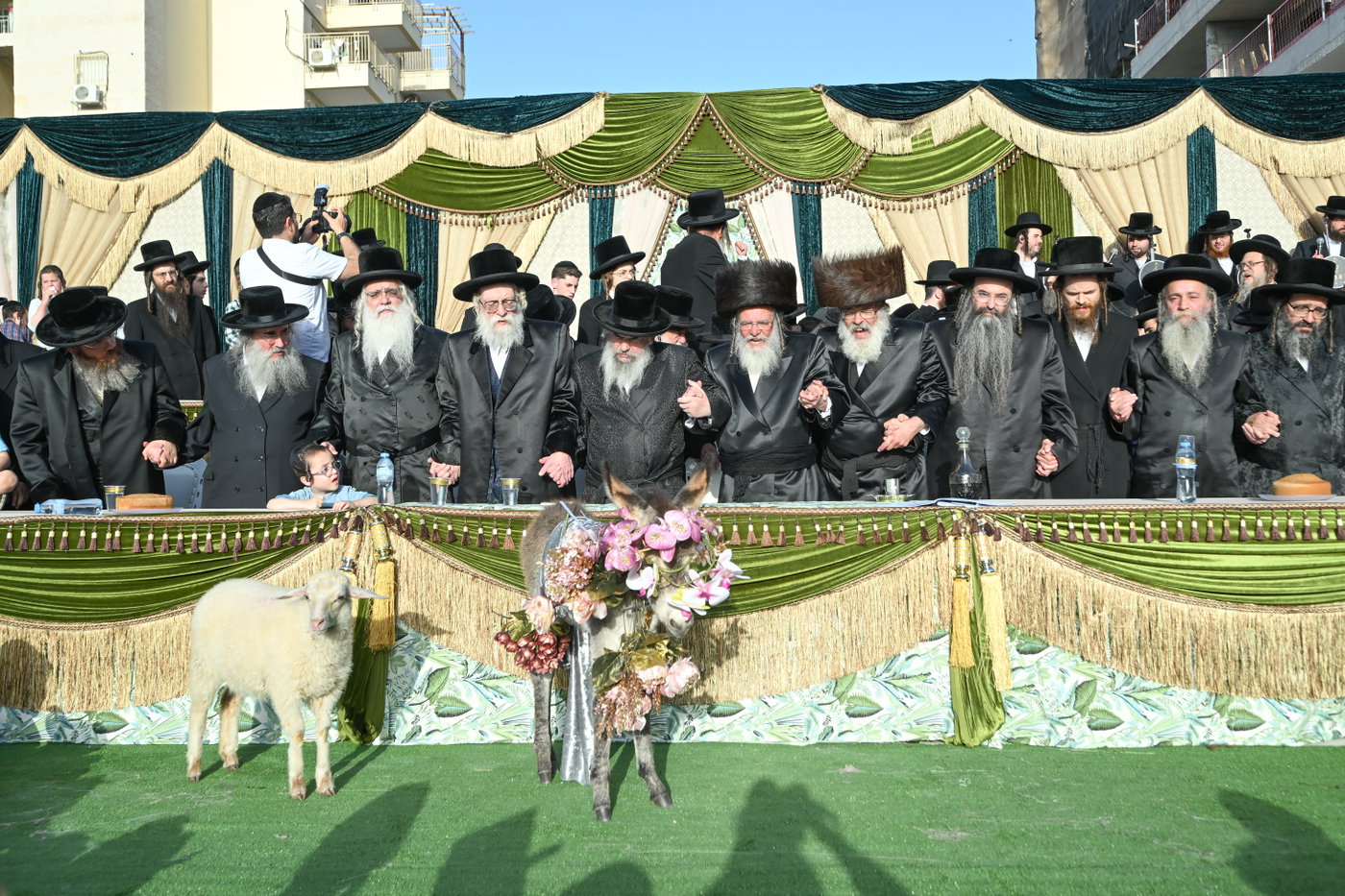 פדיון פטר חמור בבית שמש