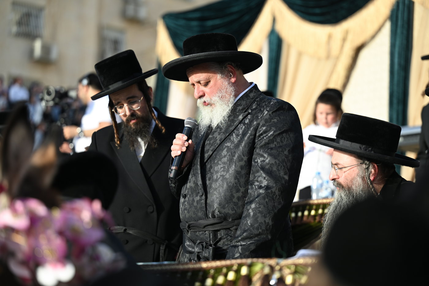 פדיון פטר חמור בבית שמש