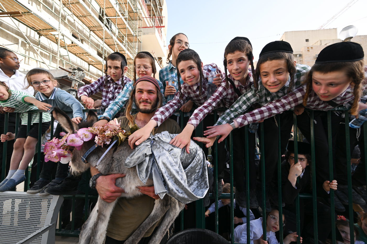 פדיון פטר חמור בבית שמש