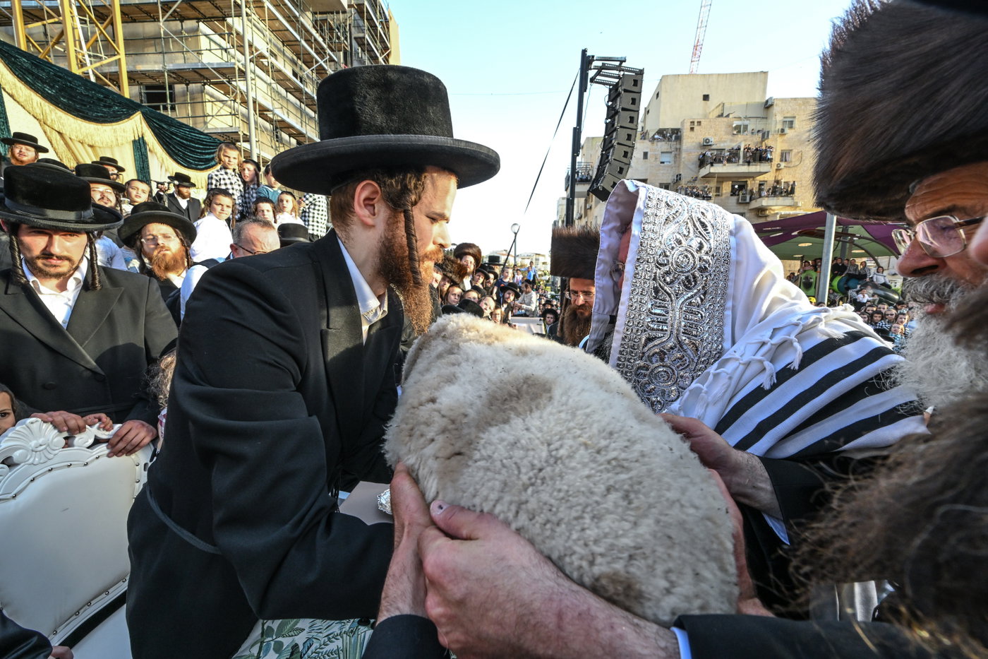 פדיון פטר חמור בבית שמש