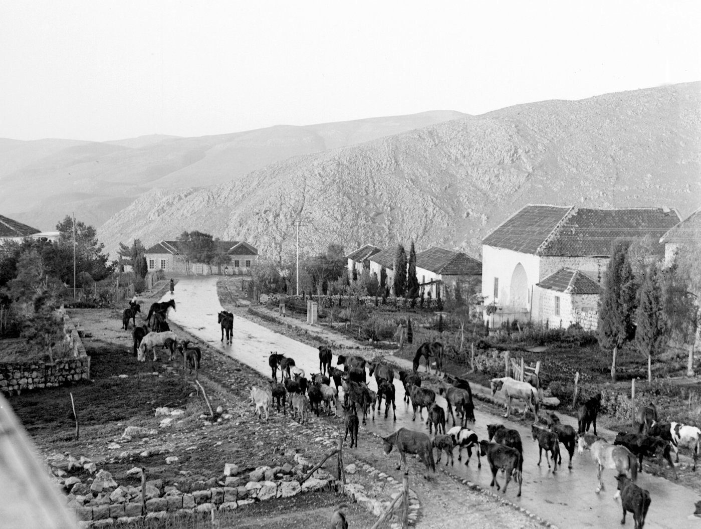 מטולה בשנת 1940