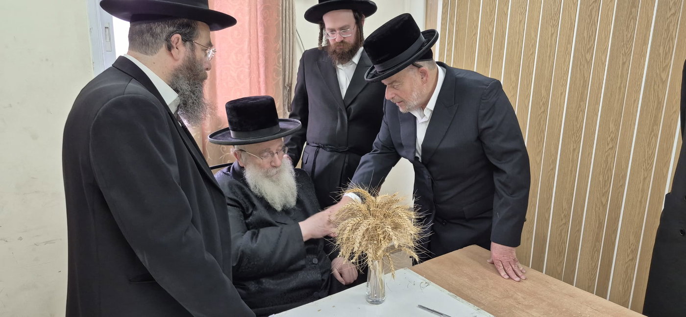 גדולי ישראל מקבלים את ראשית קצירת החיטים בערב החג
