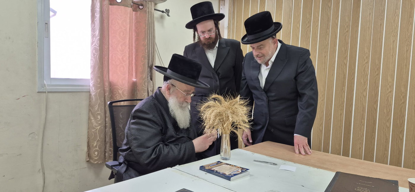 גדולי ישראל מקבלים את ראשית קצירת החיטים בערב החג
