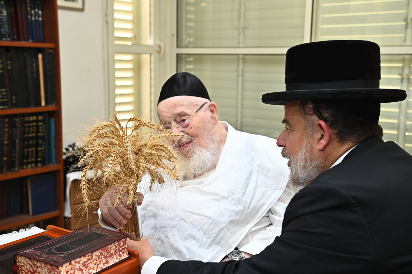 גדולי ישראל מקבלים את ראשית קצירת החיטים בערב החג