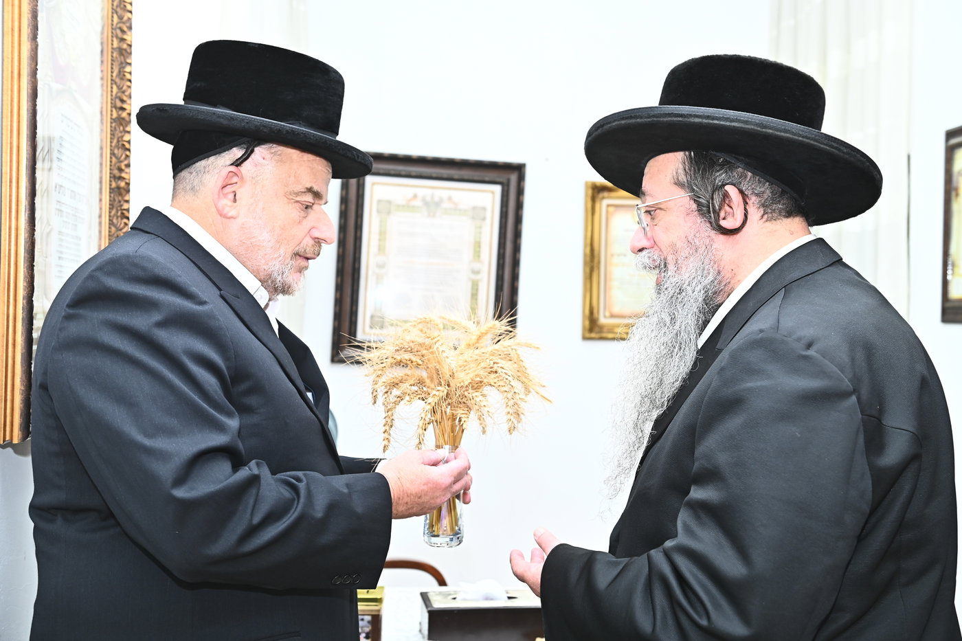 גדולי ישראל מקבלים את ראשית קצירת החיטים בערב החג