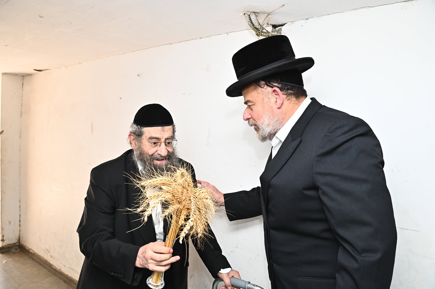 גדולי ישראל מקבלים את ראשית קצירת החיטים בערב החג