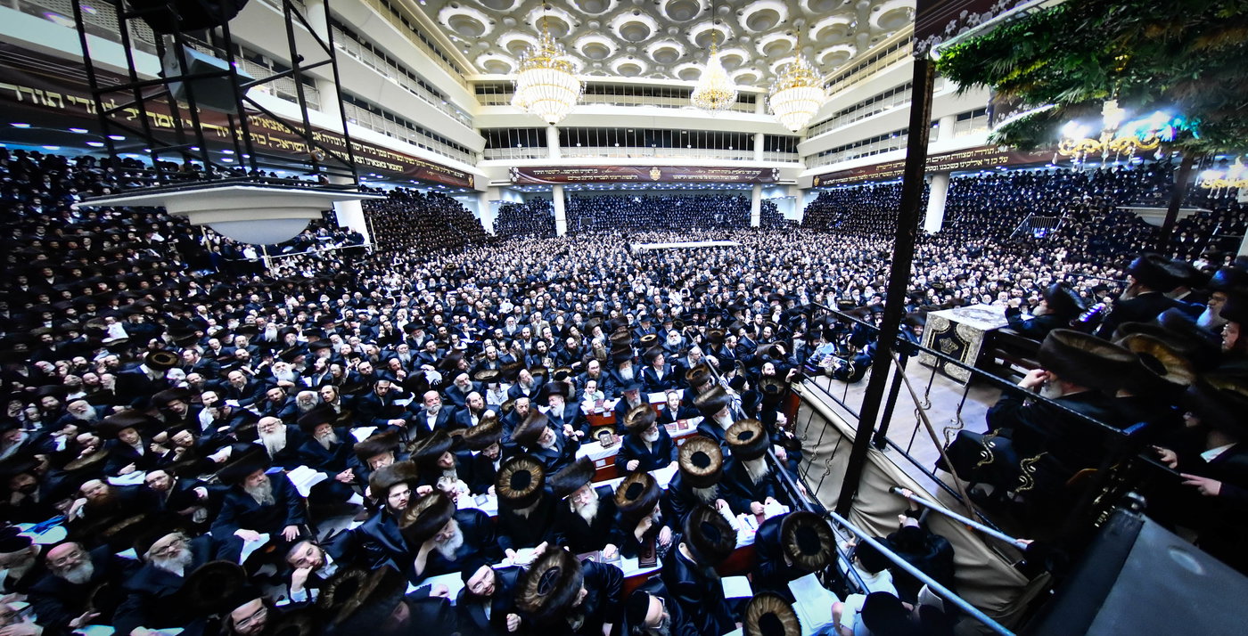 מעמד הכנסת ס"ת של האדמו"ר מויז'ניץ