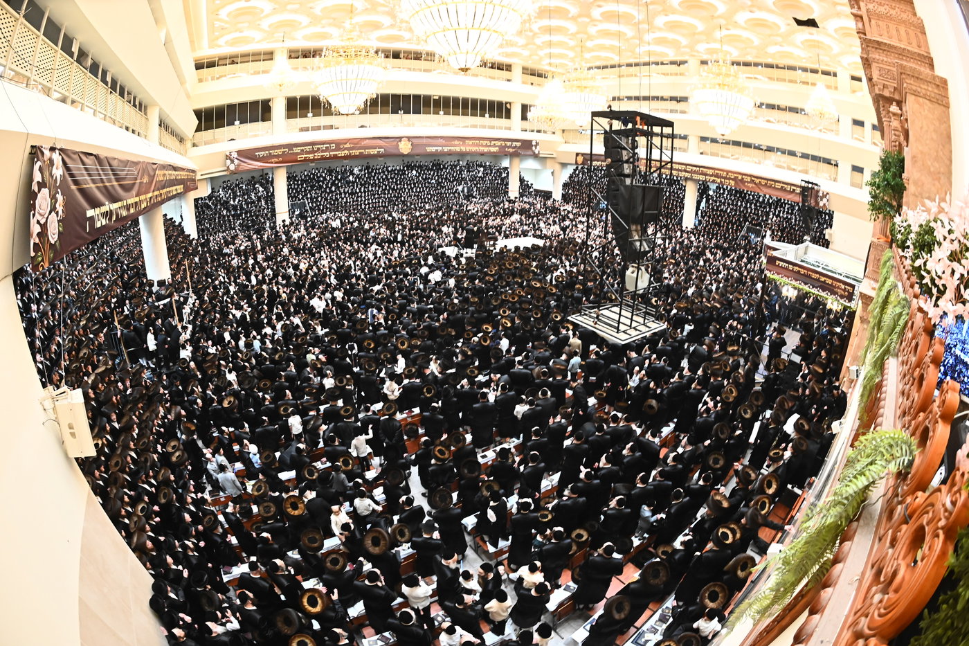 מעמד הכנסת ס"ת של האדמו"ר מויז'ניץ