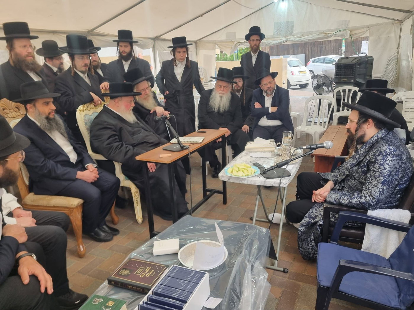 מראות מניחום האבלים