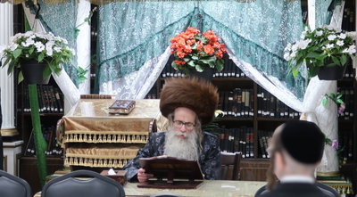 בתוך היכל הפרחים בניו ג'רזי | רגעי הוד מדמדומי חמה של חג השבועות ביוניאן סיטי