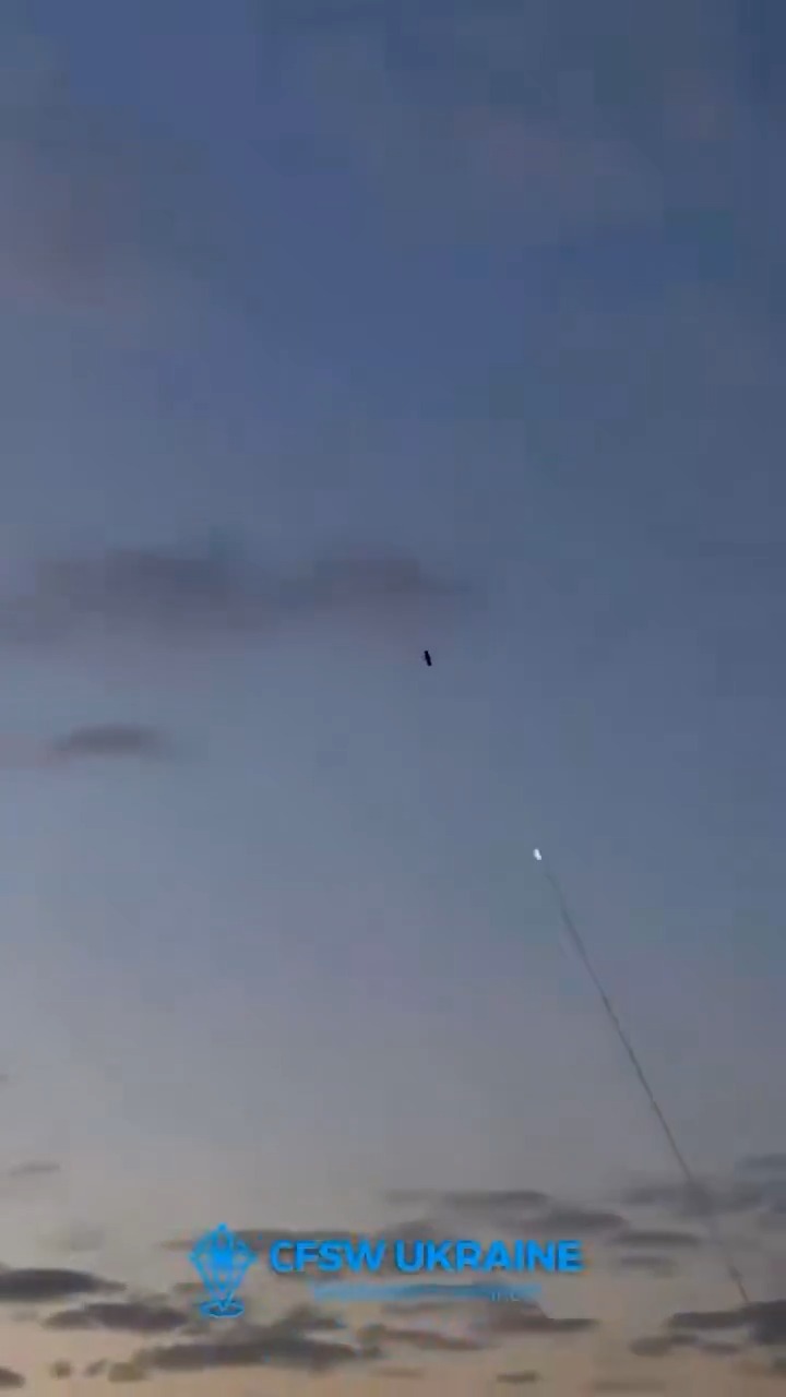 יירוט של טיל שיוט