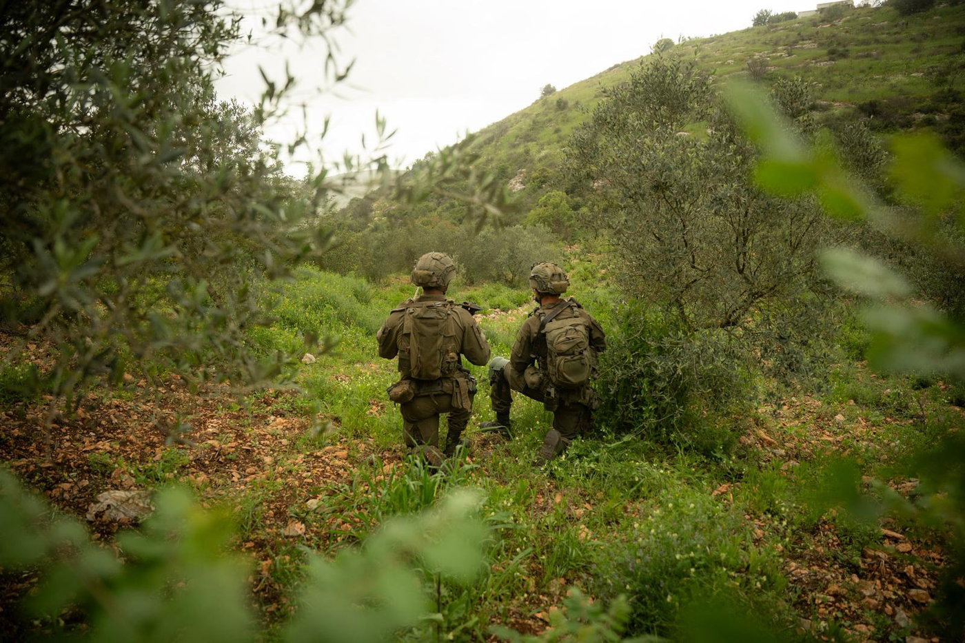 כוחות צה"ל בפיקוד הצפון
