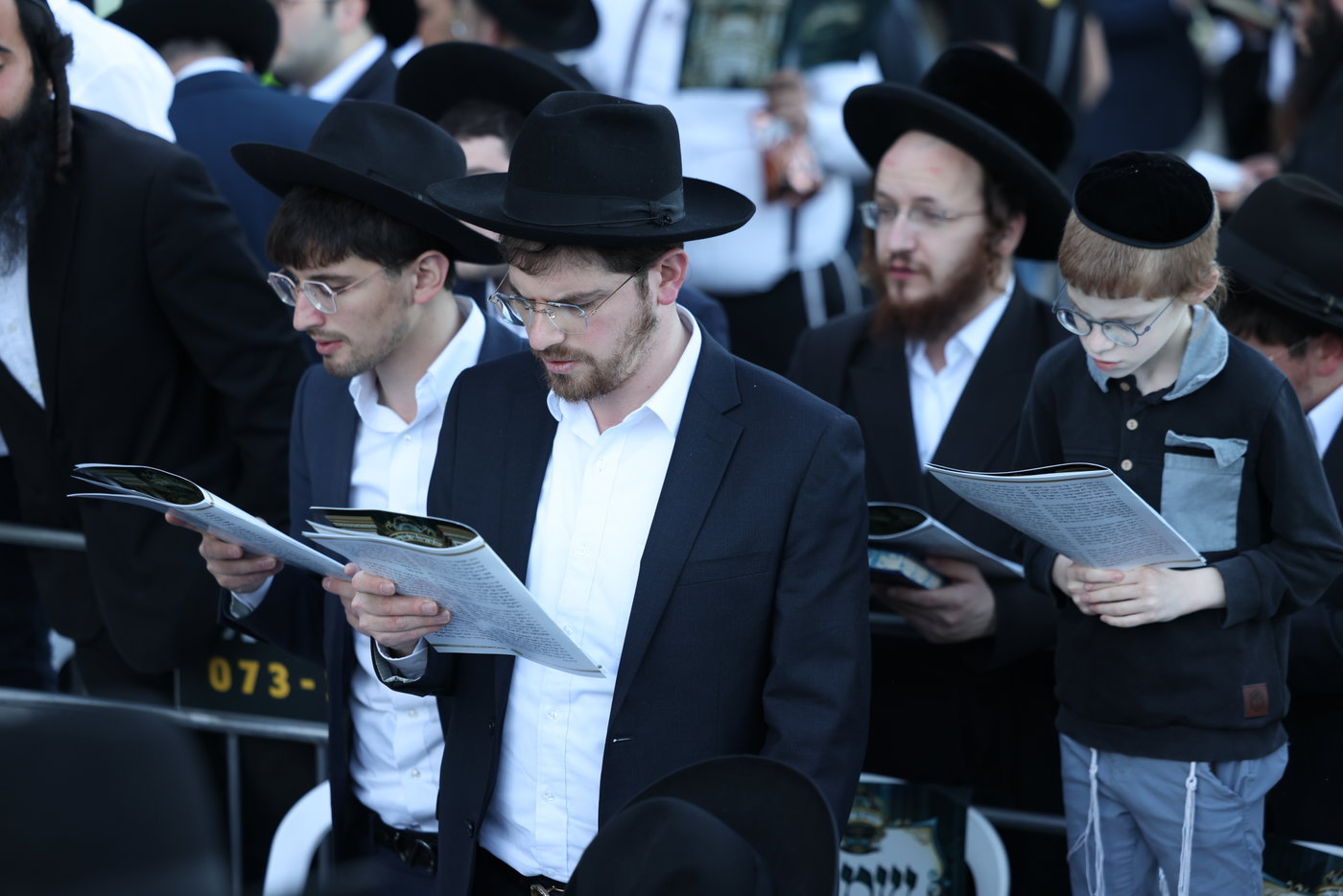 מעמד פדיון פטר חמור במירון