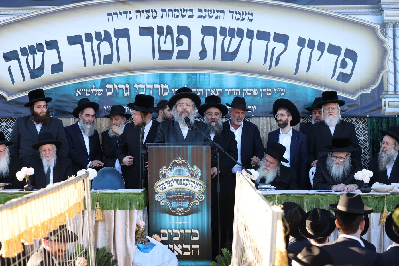 מעמד פדיון פטר חמור במירון