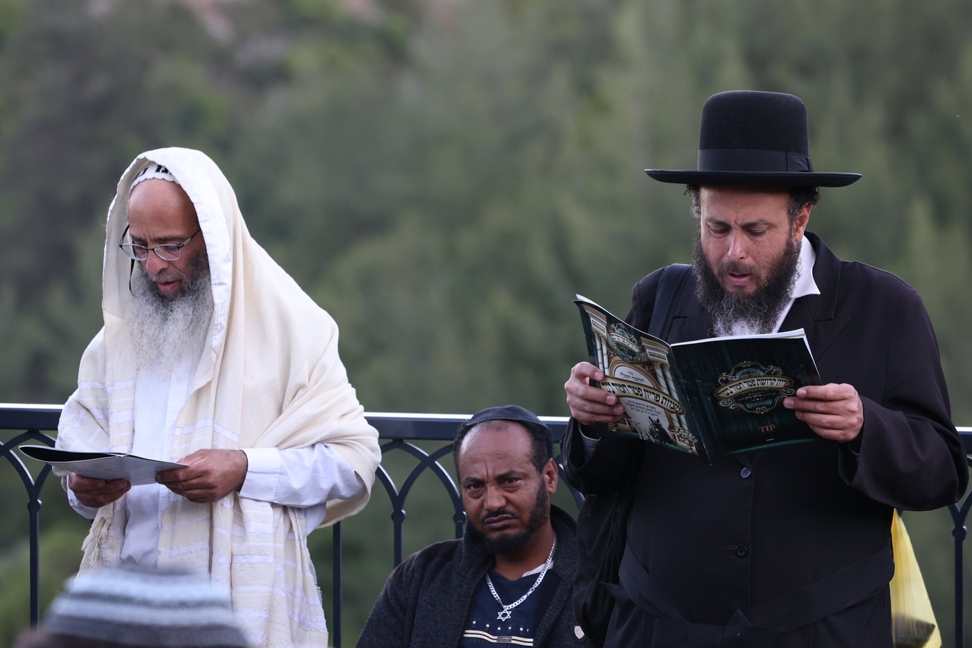 מעמד פדיון פטר חמור במירון