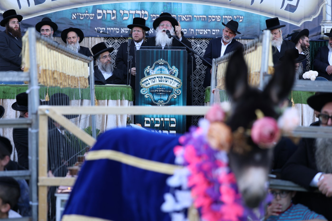 מעמד פדיון פטר חמור במירון