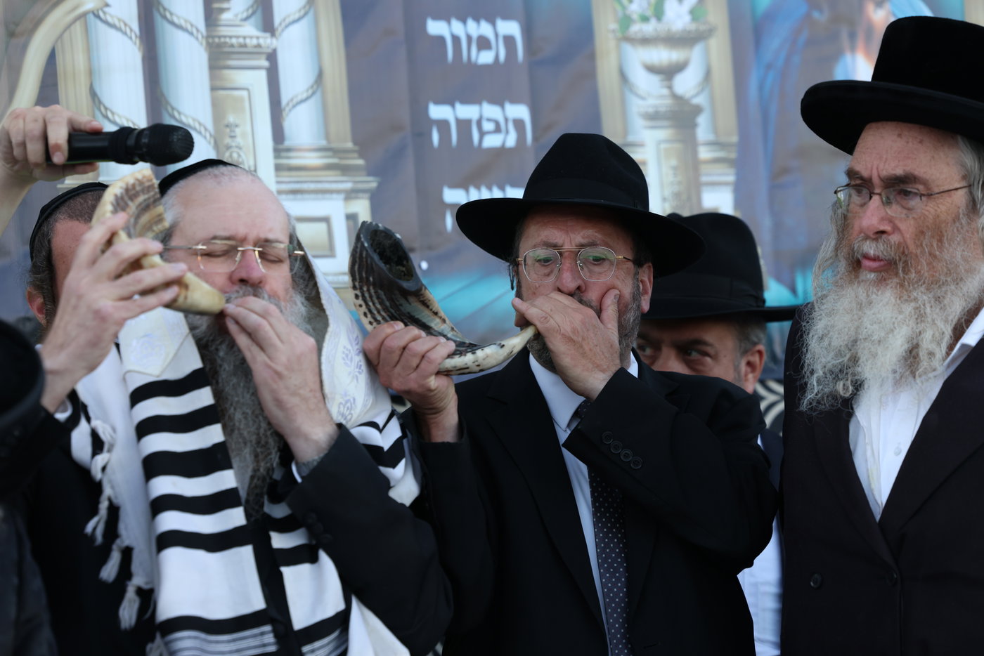 מעמד פדיון פטר חמור במירון