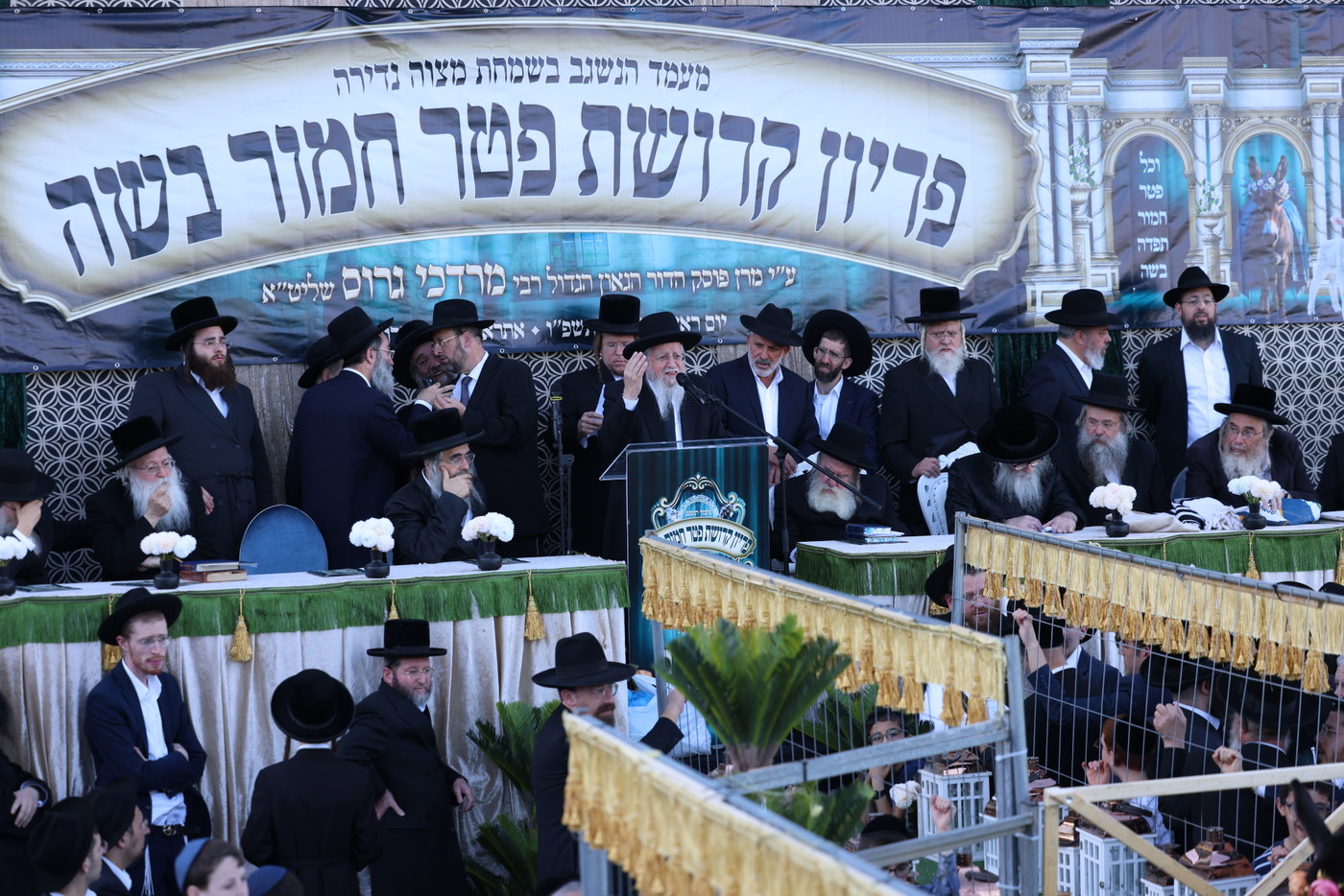 מעמד פדיון פטר חמור במירון