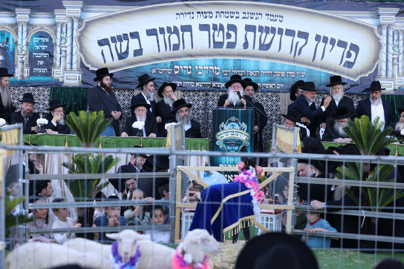 מעמד פדיון פטר חמור במירון