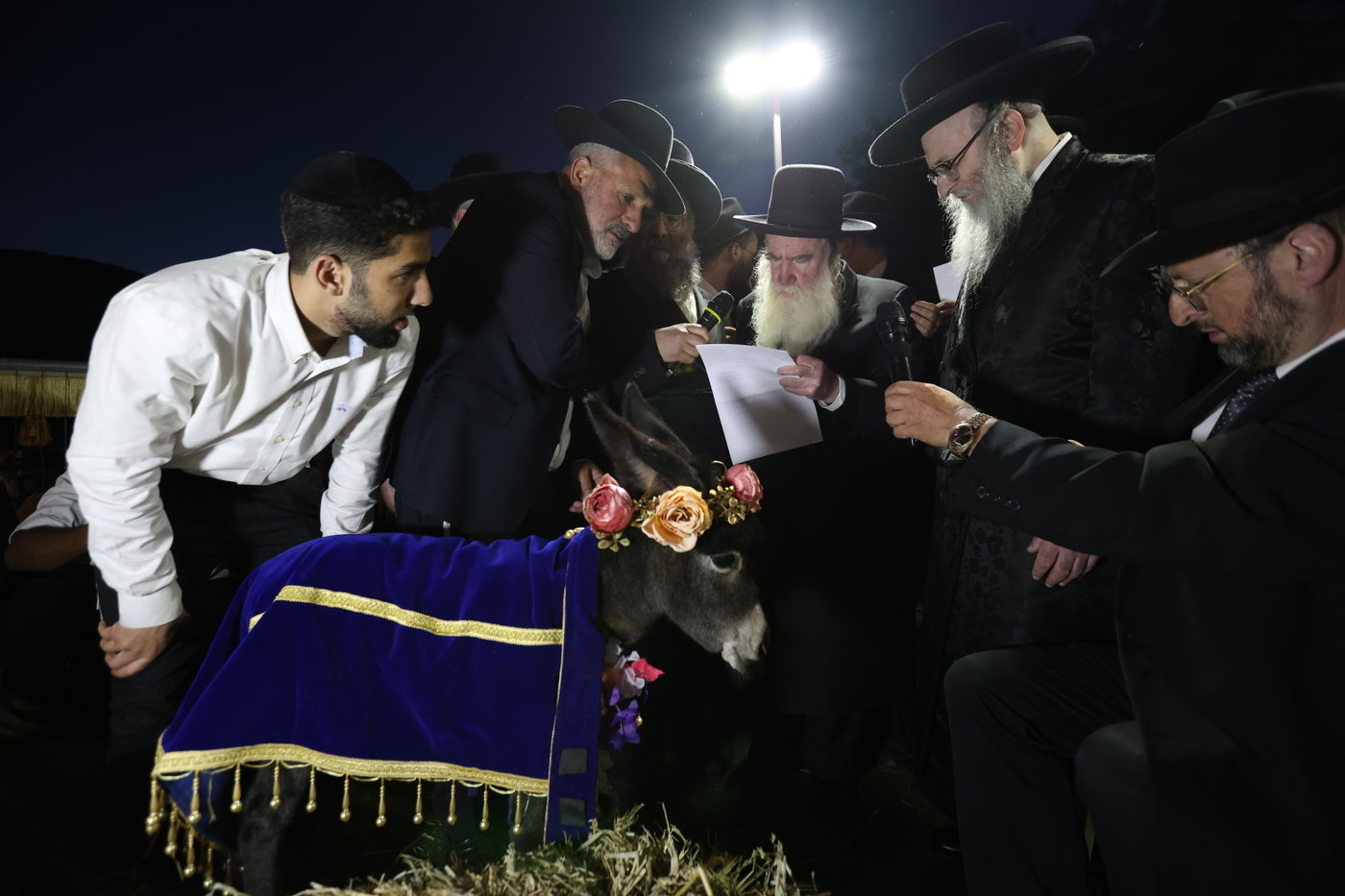 מעמד פדיון פטר חמור במירון