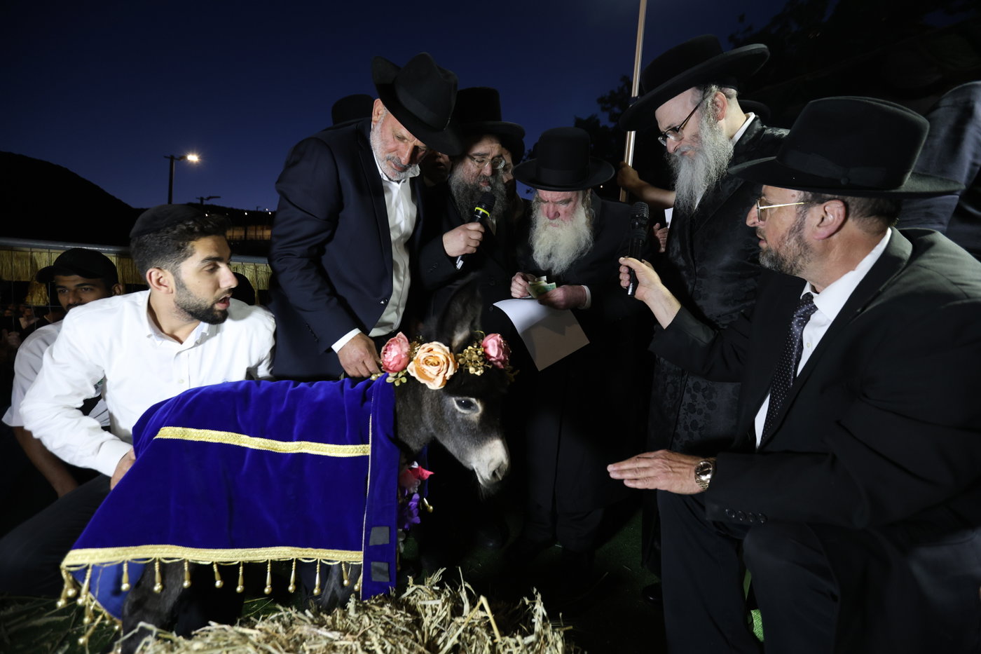 מעמד פדיון פטר חמור במירון