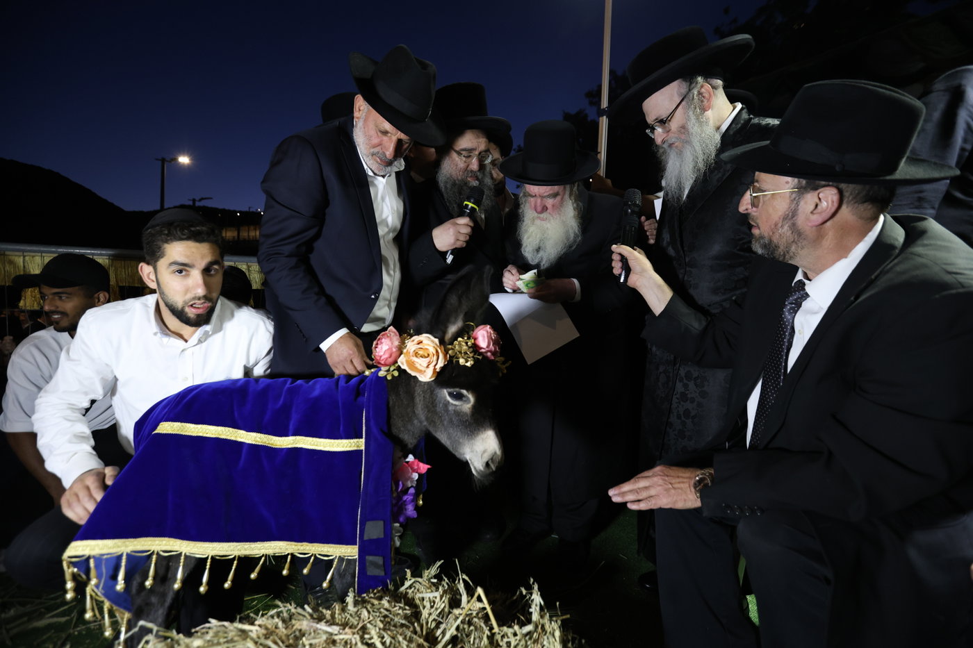 מעמד פדיון פטר חמור במירון