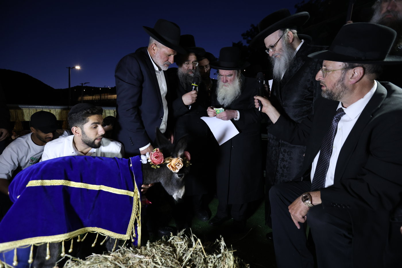 מעמד פדיון פטר חמור במירון