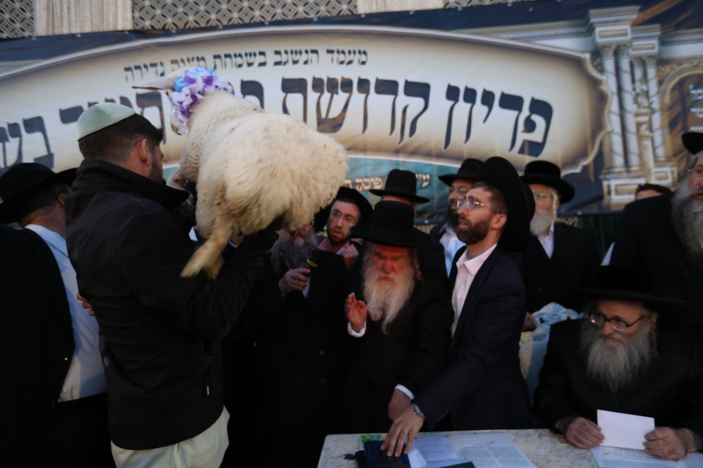 מעמד פדיון פטר חמור במירון