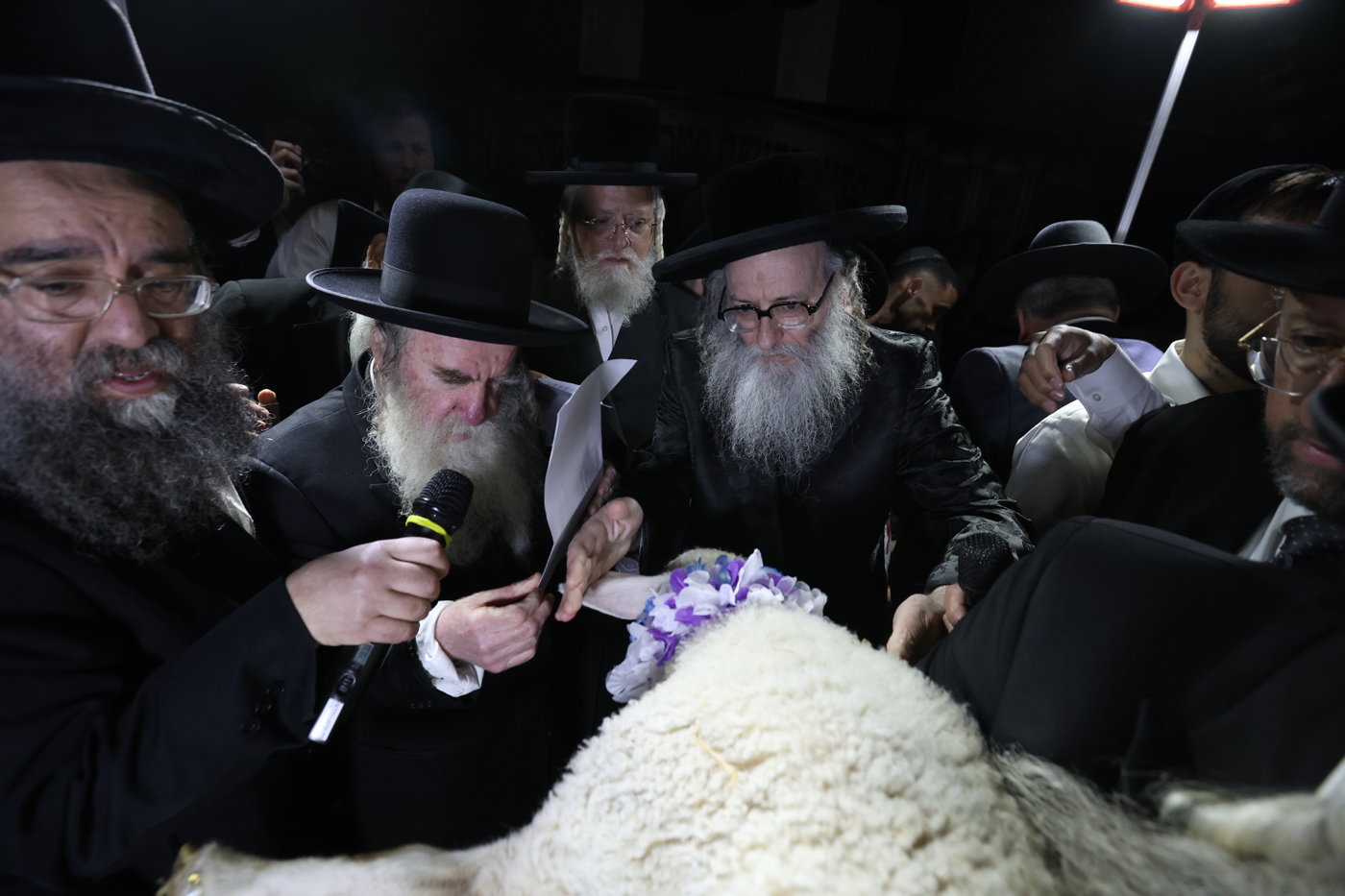 מעמד פדיון פטר חמור במירון